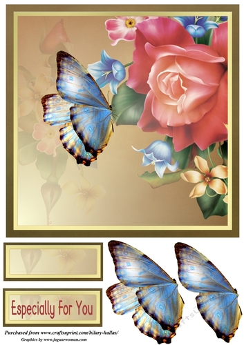 Blue Butterfly on Flowers