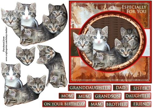 Basket of Kittens
