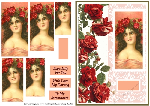Vintage Beauty With Red Roses