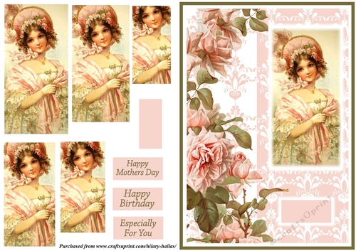 Vintage Beauty With Pink Roses