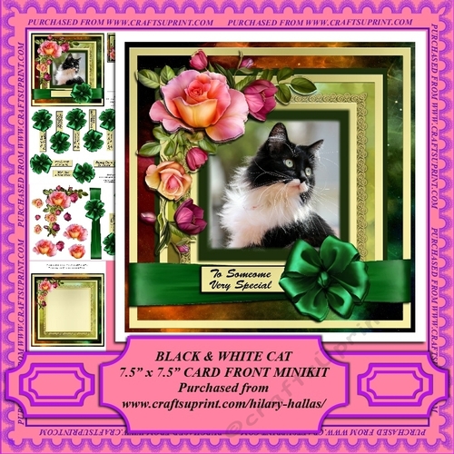 Black & White Cat 7.5 x 7.5 Card Front Minikit