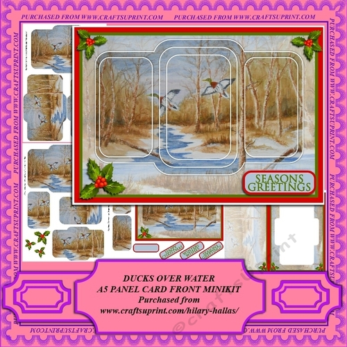 Ducks Over Water A5 Panel Card Front Minikit
