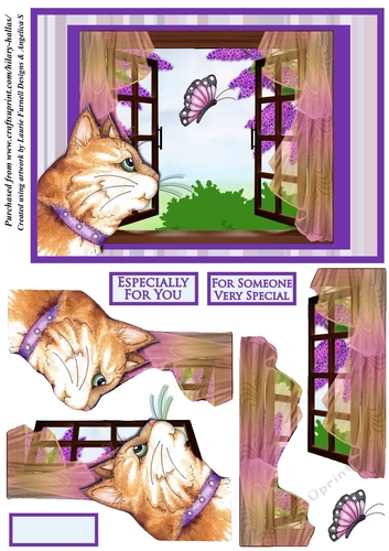 Cat At The Window Watching Butterfly