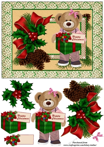 Female Teddy With Christmas Present