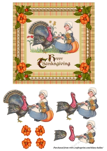 Feeding Up The Turkey