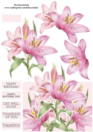 Pretty Pink Flowers A6 Over The Edge
