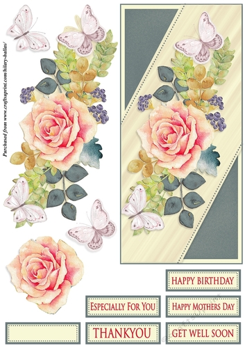 Peachy Pink Rose DL