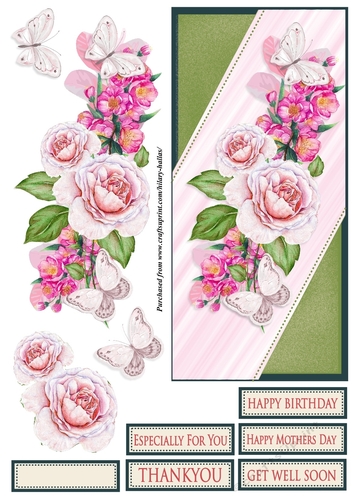 Pink Rose & Blossom DL