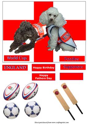 England Supporter Poodles