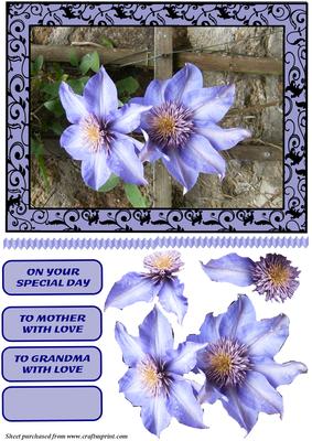 Passion Flower