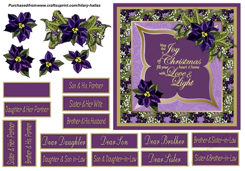 Joy of Christmas Purple Poinsettia