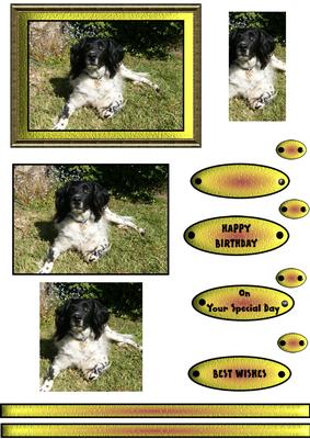 English Setter Pyramid Card