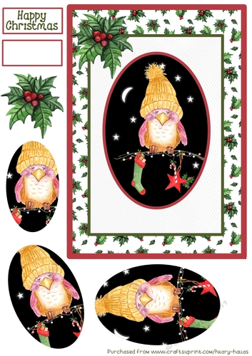 Birdie Christmas 2
