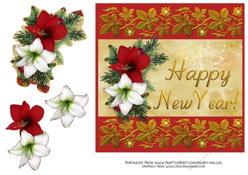 Red & White Amarylis New Year