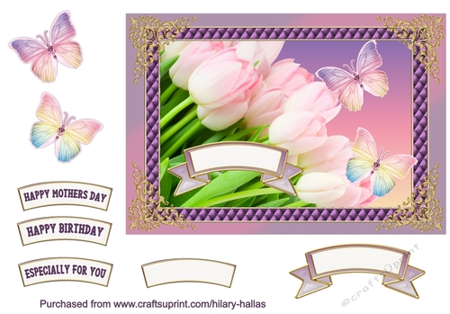 Pale Pink Tulips