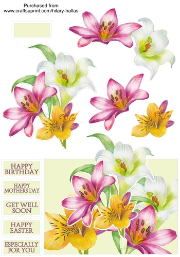 Lilac Yellow & White Lillies Over The Edge