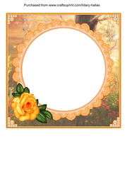 Orange Rose Insert Panel