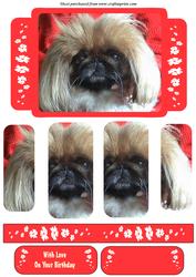 Pekinese Dog Panel Card