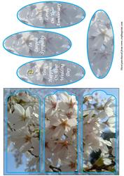 Cherry Blossom Panelled Card