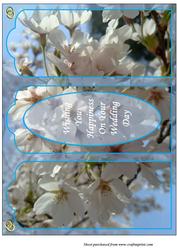 Cherry Blossom Panelled Gatefold Wedding Card