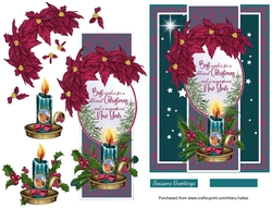 Magenta Poinsettia