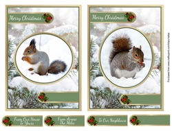 Squirrels In The Snow