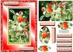 Red Rose for Romance