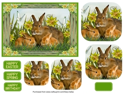 Spring Bunnies