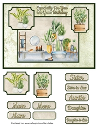 Houseplant Heaven 2