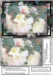 White Rhododendron Sympathy Card
