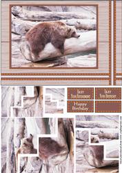 Brown Bear Corner Stairstacker