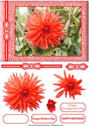 Red Dahlia Decoupage