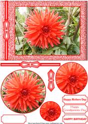 Red Dahlia Pyramid