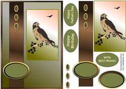 Falcon Card Front