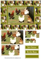 Birds of a Feather