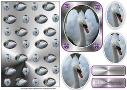 Swan Silver Wedding Card