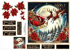 Santa & Sleigh