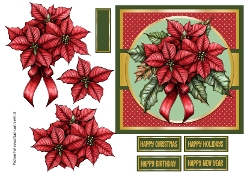 Poinsettia Bouquet
