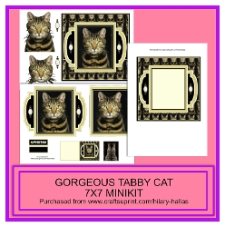Gorgeous Tabby Cat 7x7 Minikit