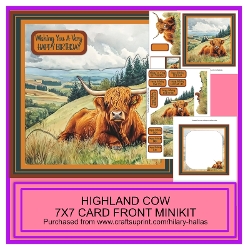 Highland Cow
