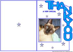 Siamese Cat Thankyou Card