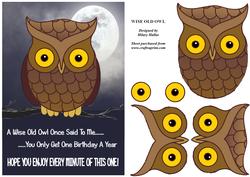 Wise Old Owl