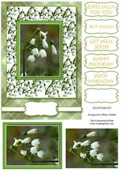 Snowdrops