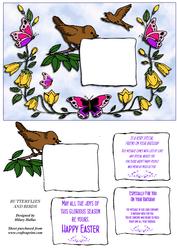 Butterflies and Birds
