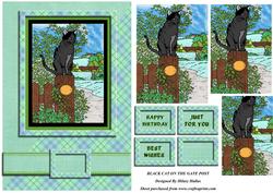 Black Cat Sat on the Gatepost