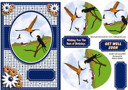 Barn Swallows