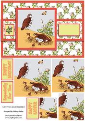 Nesting Bobwhites