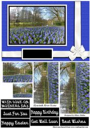 Hyacinth River Scene