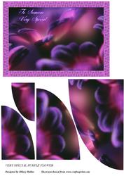 Very Special Purple Flower
