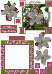 Apple Blossom